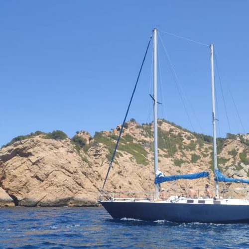 294315111_1166737083901036_197672968669552142_n