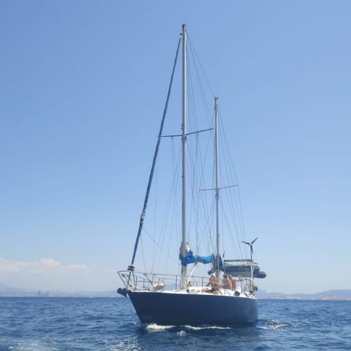 294450995_1166736887234389_3209557780102803983_n (1)