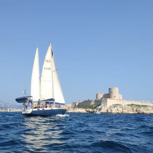 8ce20d8b-a380-4f31-bea7-ba05feb39517