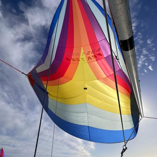 e540c777-de10-4462-958e-954f0cb2d9f5