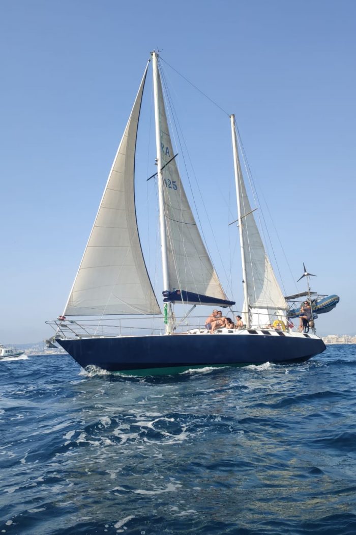 e6612de2-8d0e-4311-99a3-bd2646c25d58